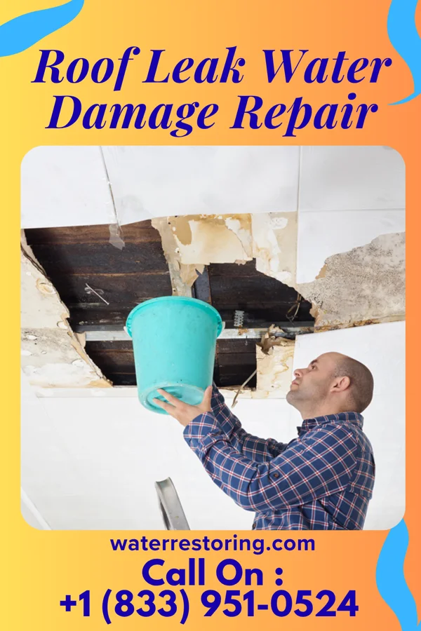 Roof Leak Water Damage Repair in Treasure Island, FL